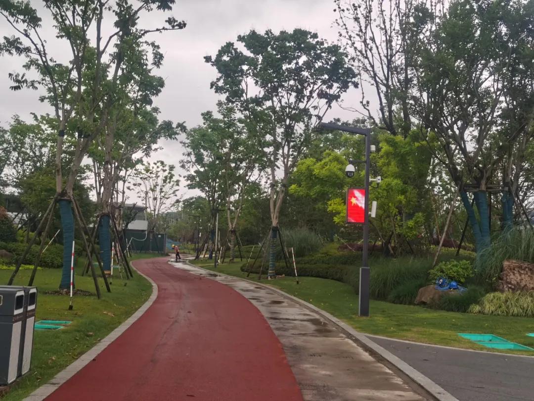 浙江良渚智慧路燈項目案例